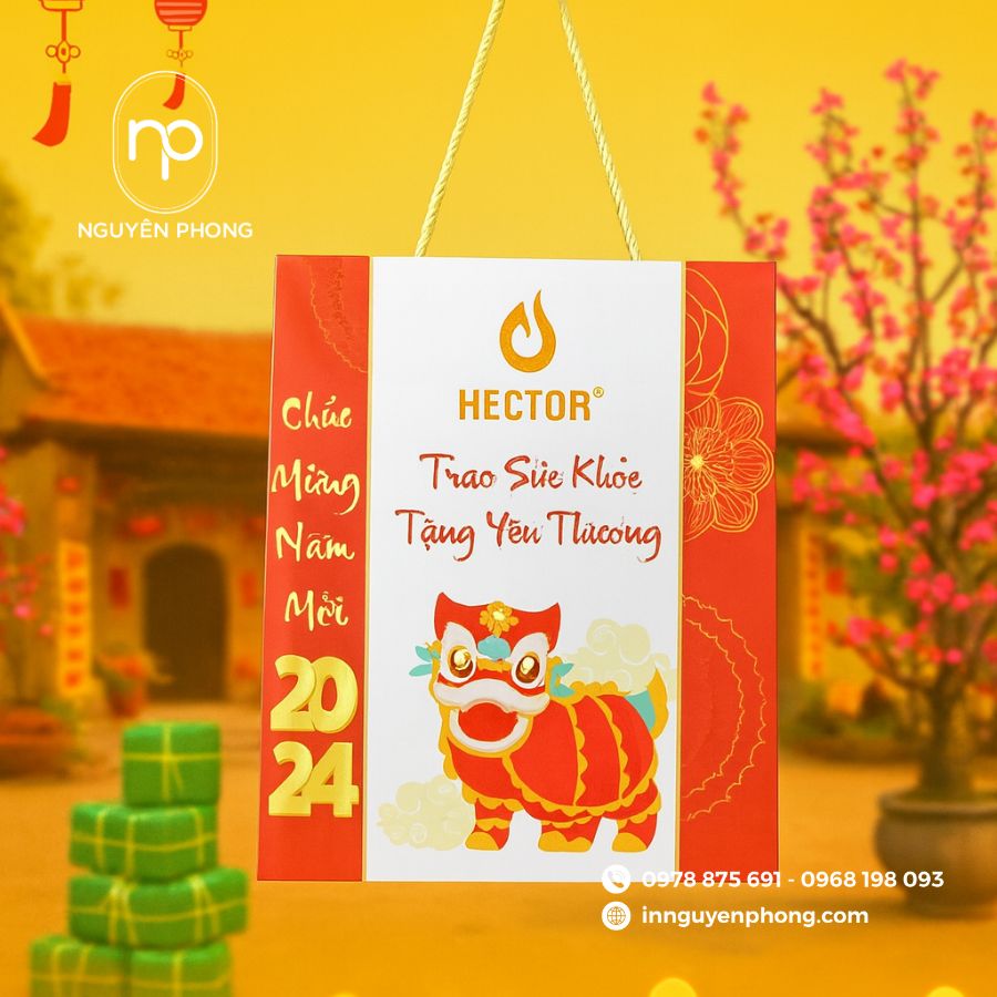 In túi giấy đựng quà tết tại TPHCM giá rẻ